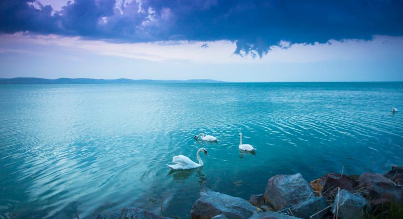 Aggasztó, ami a Balatonnal történik: újra előbukkant a hírhedt Majomsziget, ez várhat a nyaralókra