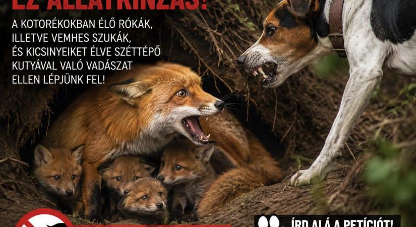 Petíciót indítottak a “kotorékozás” néven futó állatkínzás ellen