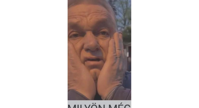 Műveltségi teszt, helyesírás: 20 szóból csak kettőben írtuk jól a j/ly-t. Megtalálja a két helyes szót 20 másodperc alatt?
