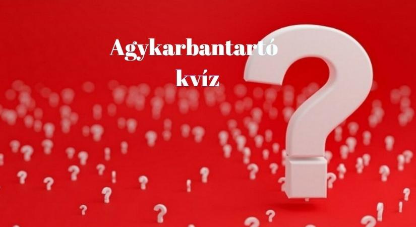 Már nem hat a reggeli kávé? Ez a zsenimérő kvíz biztosan felpörgeti az agyadat