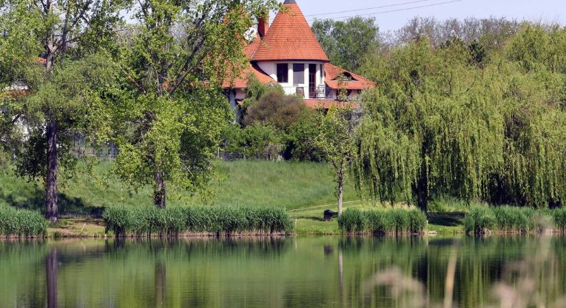 Tömegesen pusztulnak a halak a híres veresegyházi tavaknál – megszólalt a polgármester