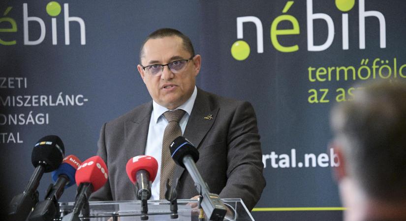 Sertéspestis: kerülhetett beteg állat a vágóhidakra is