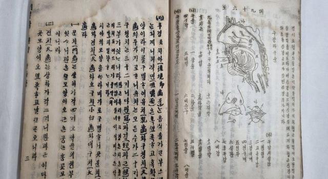 Kulturális örökséggé nyilváníthatnak egy 120 éves koreai anatómiatankönyvet