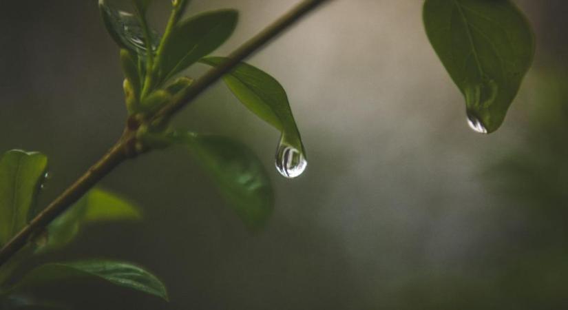 Ezekben a vármegyében szűnik meg a tűzgyújtási tilalom