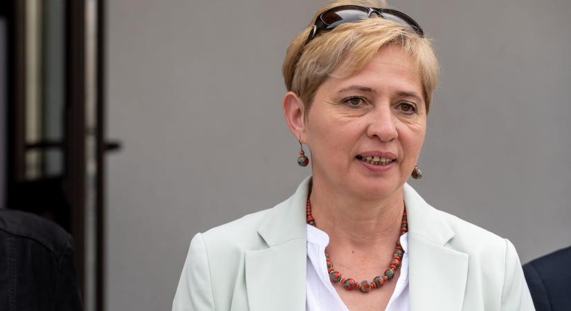 Magyar politikus irányítja a kommunista rezsim által ellopott ingatlanok visszaadását Romániában