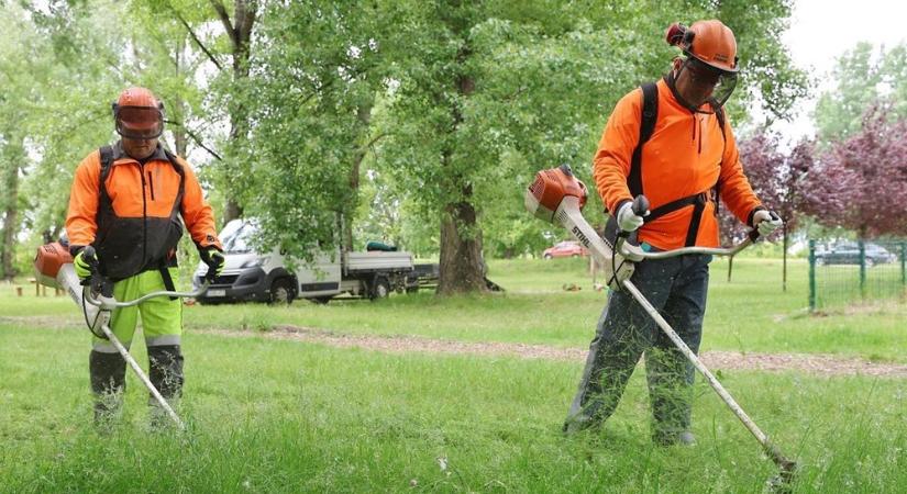 Pintér Bence szerint az óbudai korrupciós ügyben érintett cégháló Győrben is megjelent