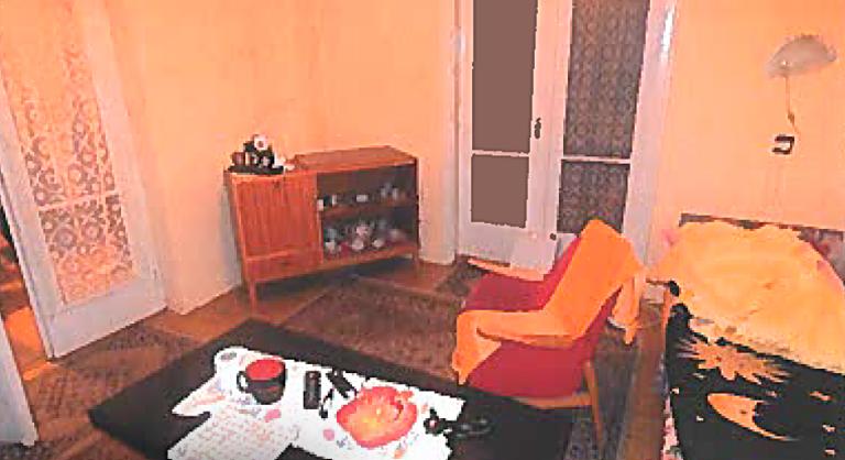 Elaludt a tévé előtt, a dabasi tolvaj ellopta mellőle a készüléket