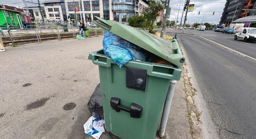 Zárható kuka és biztonságos sétálóutca – ezt szeretnék olvasóink
