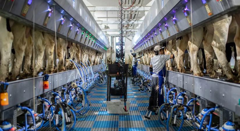 Mától jön a vendégmunkásstop, három országból már nem jöhetnek munkavállalók