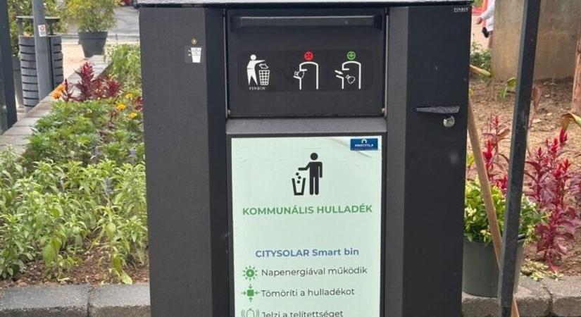 Új helyszínen az okoskuka