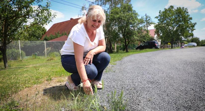 Azbeszt-ügy: elviszik-e az azbesztet tartalmazó kőzúzalékot Olad Platóról?