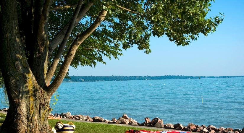 Nem csak halak vannak a Balatonban: altatót és kábítószert is kimutattak a vízből