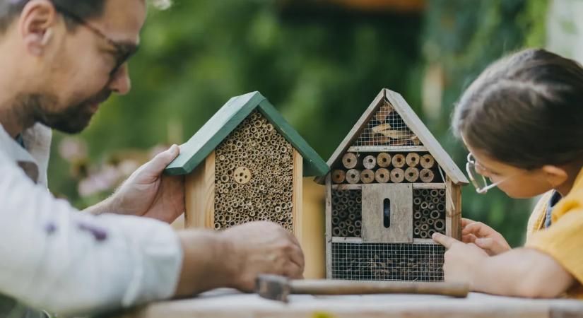 Így alakíts ki önfenntartó kertet: kevesebb munka, több termés