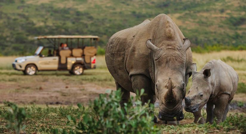 Turizmusból védenék az orrszarvúkat és a tengeri élővilágot Dél-Afrikában