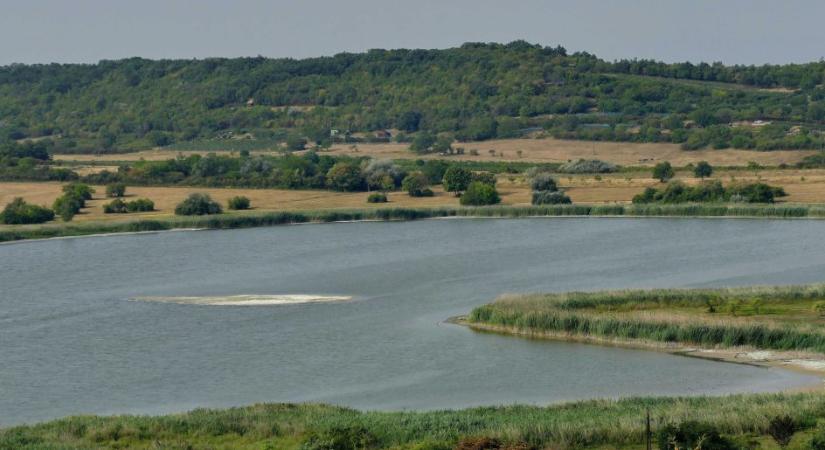 Azt kérik, senki ne közelítse meg a tihanyi Belső-tavat