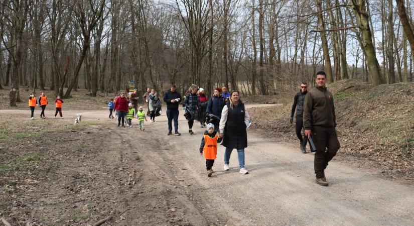 Megszólalt a Vérteserdő: nem a természetjárók hagyják az erdőben a legtöbb hulladékot videó
