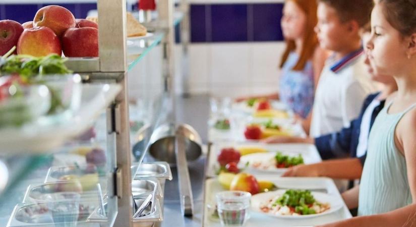 Újabb előállítások az óbudai korrupciós ügyben – most egy közétkeztető cég vezetői kerültek sorra