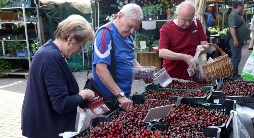 A cseresznye és a meggy a sztár, az eperből már készülhet a lekvár - ennyiért kínálták a piacon