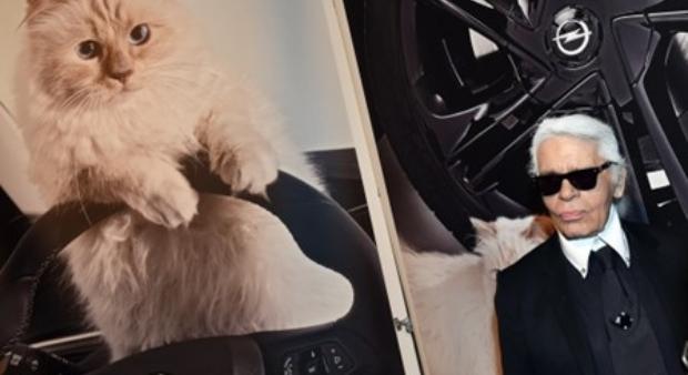 Miért nem örökölhet dollármilliókat Choupette, a világ leghíresebb macskája?