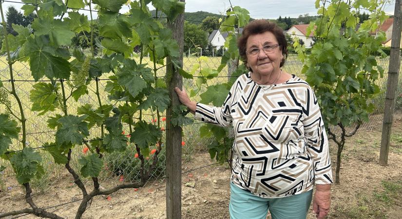 Kovászos uborka: ahogy a nagymama készíti