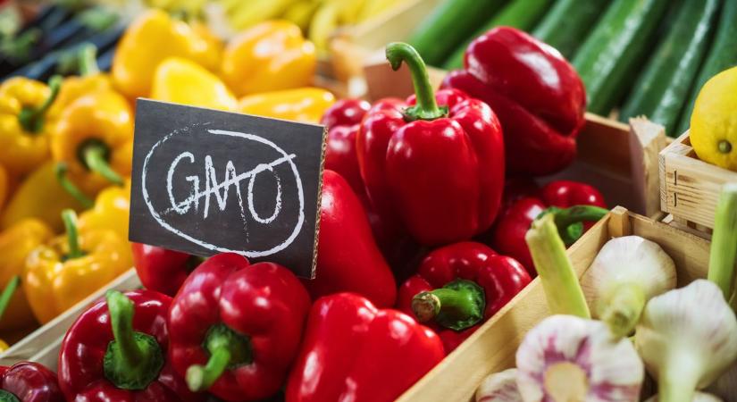 Kirobbant az új GMO-vita: vészharangot kongat a bioágazat – Brüsszel lazítaná a szabályozást, azt sem tudnánk, mit eszünk