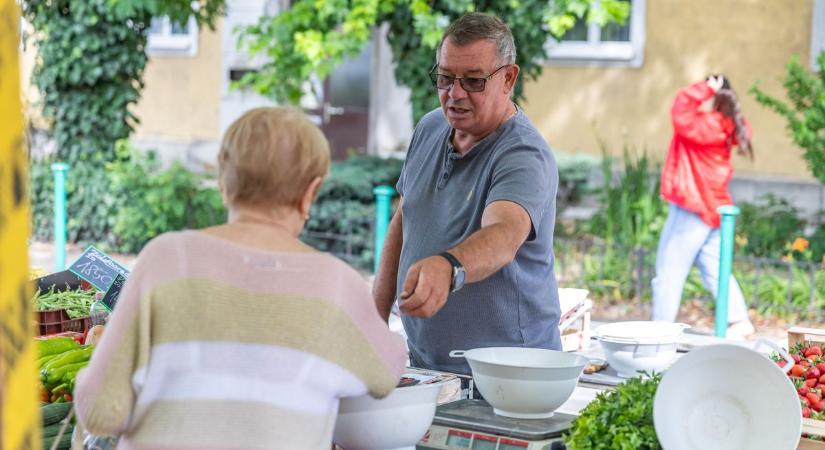 Megérkezett a strandok kedvence a piacra, ennyibe kerül a kukorica fotók