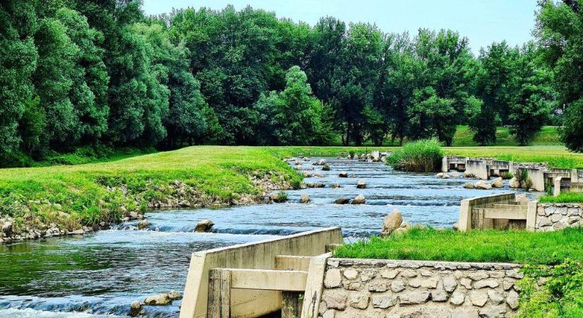 A Tisza élővilágát térképezték fel a Hevesi József Tagiskola diákjai