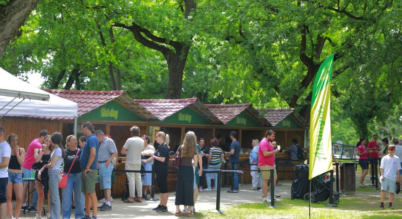 Íjászat, jóga, cheerleaderek: birtokba vették a Debreceni Egyetem dolgozói a Nagyerdőt  fotókkal, videóval