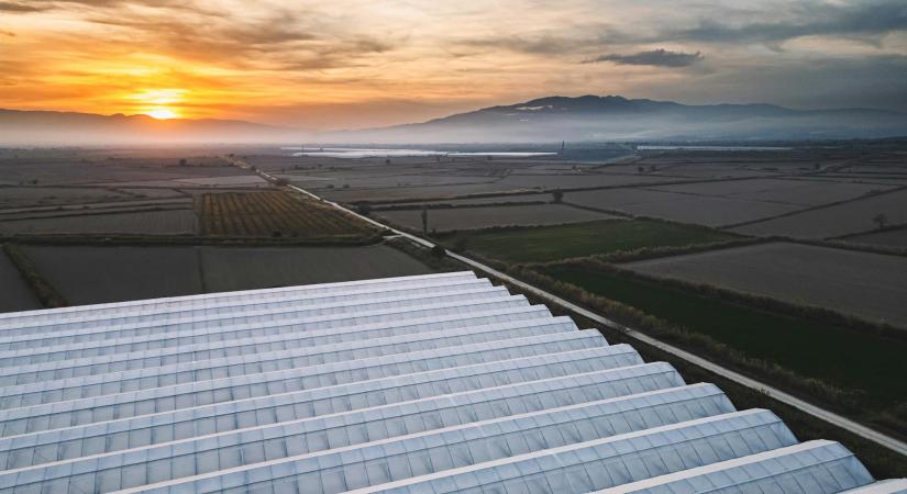 350 hektárnyi modern üvegház létesül egy gigaprojekt keretében Szaúd-Arábiában
