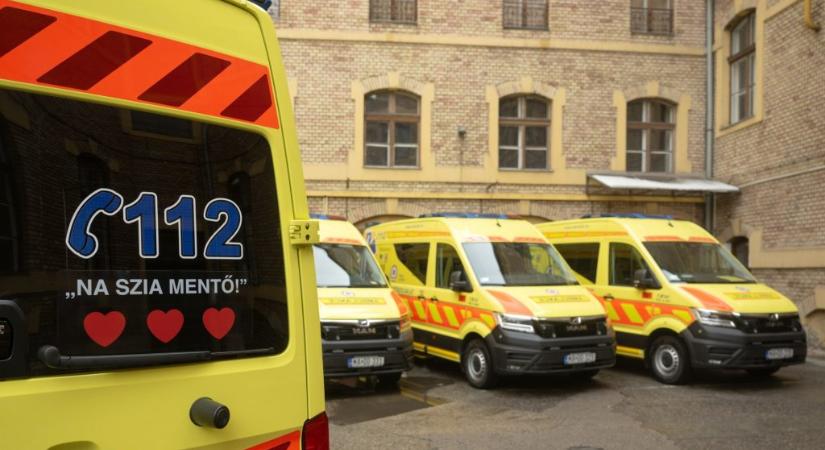 Újra kellett éleszteni a Loophia énekesnőjét a Budapest Parkban