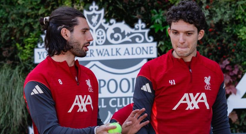 Szoboszlai, Kerkez és Pécsi után újabb magyart igazol a Liverpool FC