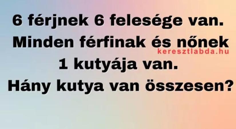 Napi matek feladat: Kutyás számolás, ami első ránézésre gyerekjátéknak tűnik