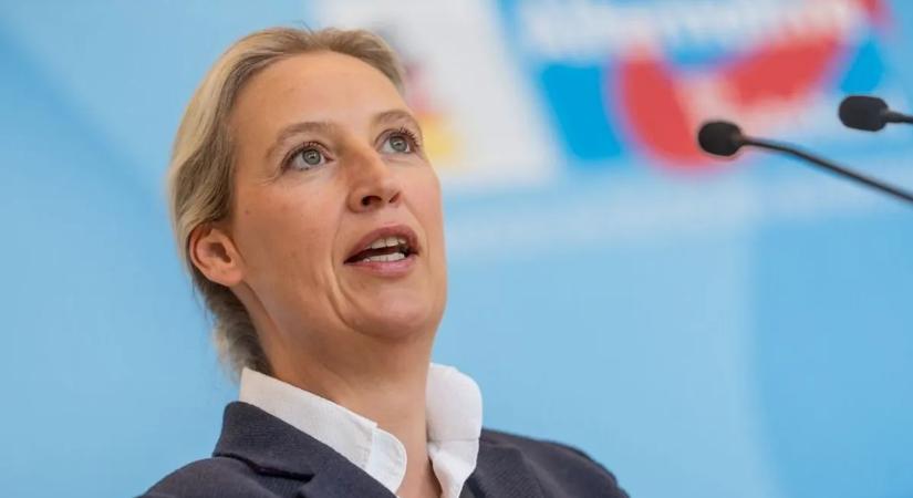 Egyre több német utasítja el az AfD köré vont politikai karantént