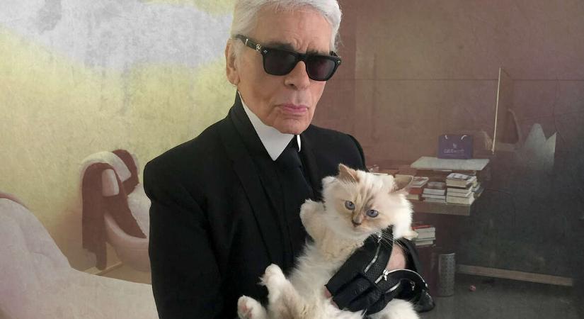 Egy fillért sem kapott a neki szánt örökségből Karl Lagerfeld macskája, Choupette