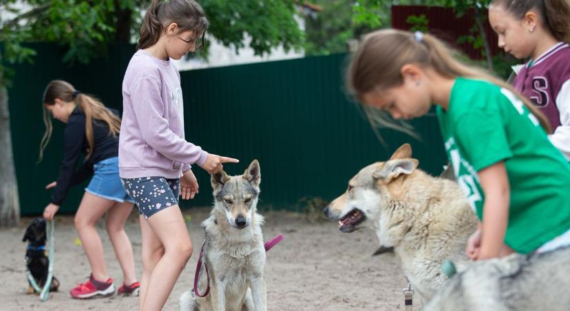 Élményekből idén sincs hiány: itt vannak a legnépszerűbb kecskeméti táborok, sok hely már be is telt