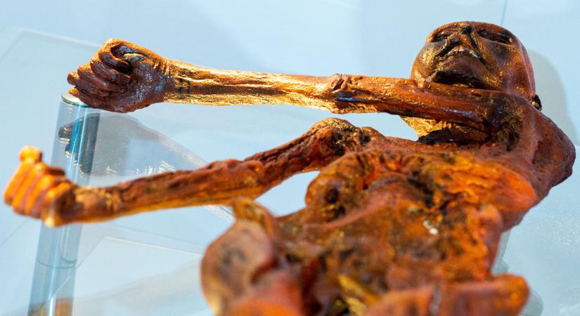 5 féltve őrzött titok Ötziről, a rejtélyes jégemberről – Galéria