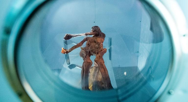 Meghökkentő dolgot találtak Ötzi, a jégember testében, a tudósok kenyeret is sütöttek belőle