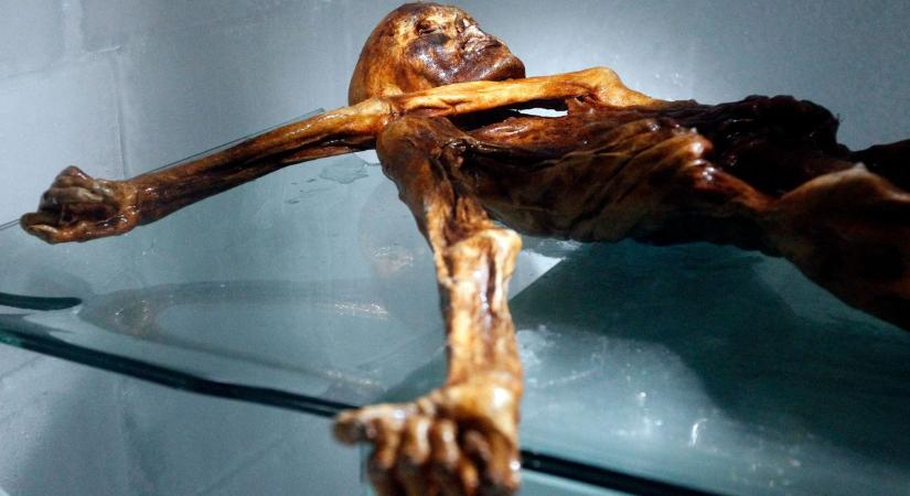 Meghökkentő kísérlet: kenyeret sütöttek Ötzi, a jégember élesztőjéből, most pedig sört is főznének vele