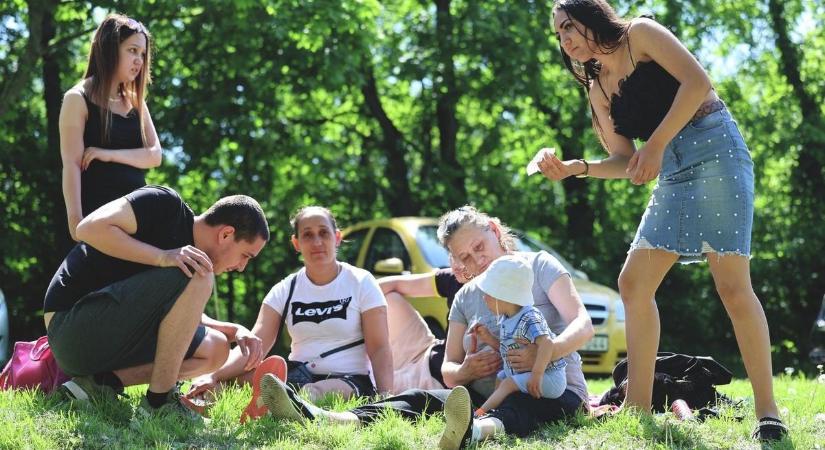 Hatalmas ingyenes buli készül az Avasi Kilátónál, Bódi Guszti és Margó is fellép!