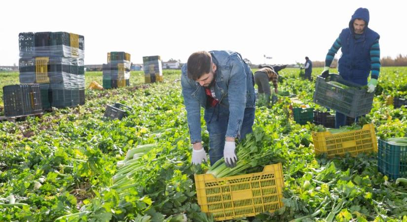Péntektől lépett életbe a tiltás, ami teljesen átírhatja a nyári mezőgazdasági szezont