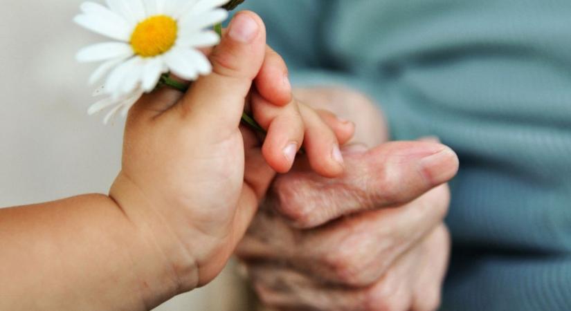 Szobatársak, 63 év korkülönbséggel: „Ő tanított meg mosni, én meg segítettem neki, amikor elesett”