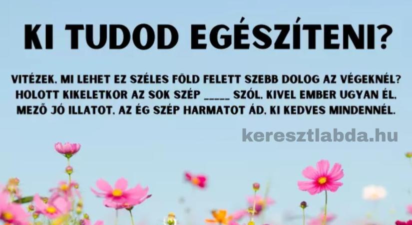 Napi irodalom feladat: Egy katonaének, kötelező volt, de tudod, mi szól kikeletkor?