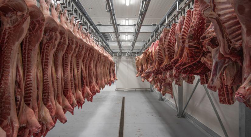 Nagyüzem a magyarországi vágóhidakon, nőtt az állatvágások száma az első negyedévben