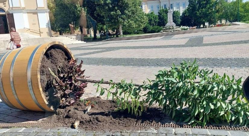 Vandálok pusztítottak Szekszárd belvárosában – ezt művelték az éj leple alatt (fotókkal)