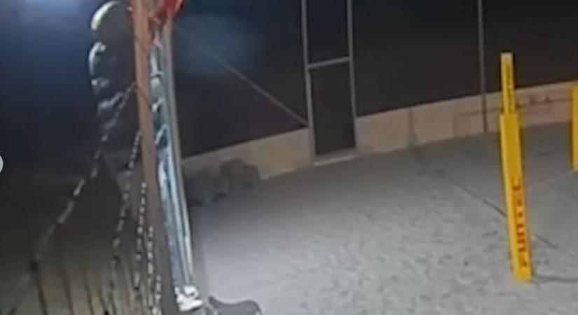 Lopás történt a tatabányai strandröplabda pályánál, videón az enyveskezű tolvaj