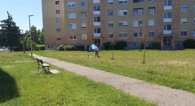Borzasztó támadás Szombathelyen: “Én azt sem tudtam kit védjék”