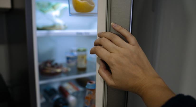 Szakértő ismerősöm ordítja! Ezt soha ne tedd a hűtőbe: az összes étel megromlik tőle