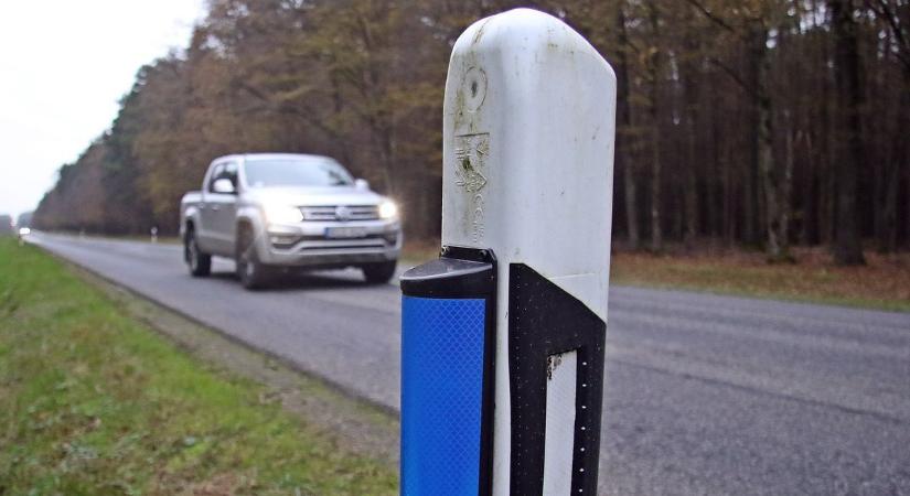 Az őz az erdőben – vagy a kondérban – jó, nem az autópályán! Az M7-esen mégis balesetet okozott egy állat