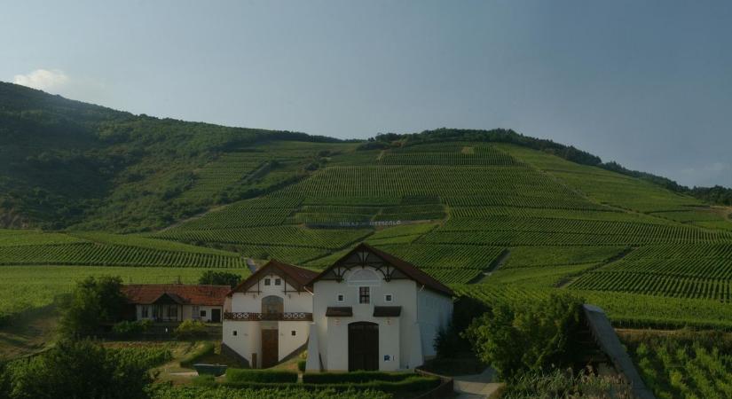 Tokaj is bekerült az országos ökogazdasági mintaprogramba