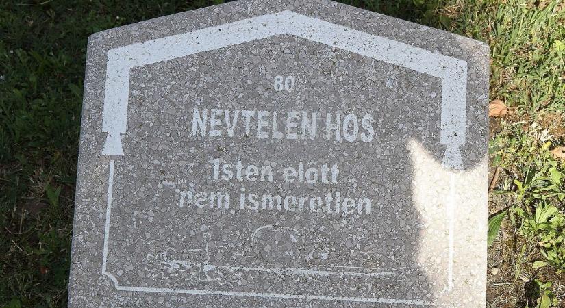 Hova lettek az utódok?